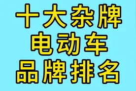 十大杂牌电动车品牌排名