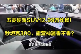 五菱硬派SUV12.99万炸场！秒坦克300，露营神器香不香？