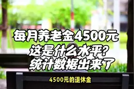 2024年退休后，每月养老4500元，这是什么水平？统计数据出来了