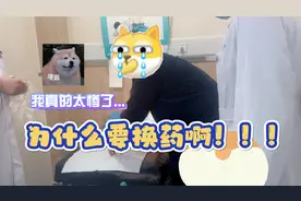 "收手吧 大哥！外面全是医生"丨花臂大哥得知菊姐姐来换药秒怂...视频封面