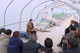 姚路路：探索现代农业新模式 推动乡村振兴一“路”生花视频封面