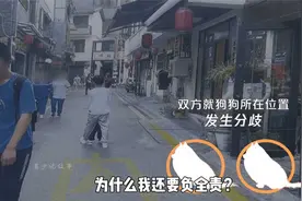 狗被车压死，主人竟花五千请个律师，最后连律师费都赔进去了视频封面