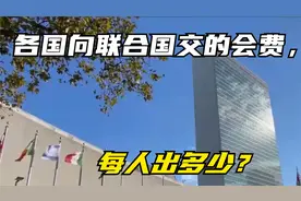 各国向联合国交的会费，分摊到各国人民，每人出多少视频封面