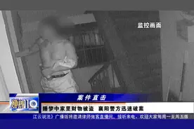 睡梦中家里财物被盗 襄阳警方迅速破案视频封面
