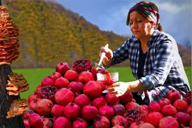 石榴酱汁制作，农村没啥甜品就现摘石榴熬制果酱，配肉来吃