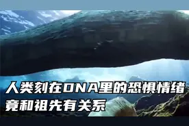 人类刻画在DNA里的恐惧情绪，竟和祖先有关系视频封面