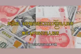 外汇局：6月银行结汇12217亿元人民币，售汇14705亿元人民币视频封面
