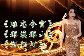 李谷一的经典歌曲24首《难忘今宵》《那溪那山》《浏阳河》聆听