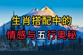 生肖鼠和生肖虎的婚配好吗？视频给你分析视频封面