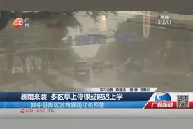 暴雨来袭 多区早上停课或延迟上学视频封面