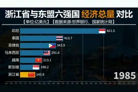 浙江省与东盟六强国经济总量对比，见证浙江经济腾飞！视频封面
