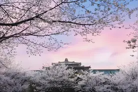 2025年国家公务员考试中只招硕士研究生的岗位列表视频封面