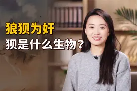 “狼狈为奸”中的“狈”，是什么生物？是真实存在的吗？