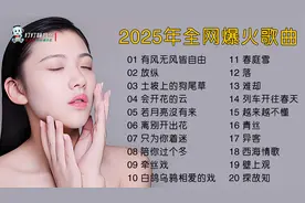 2025年全网爆火的20首歌曲