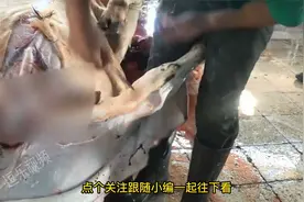 国外小哥割牛皮全过程，三分钟割掉一整张牛皮，这刀法真是太牛了
