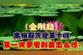 金刚经第十四品，第一波罗密到底怎么修视频封面