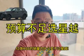 预算不足也选星越L对比红旗HS5谁更值得买