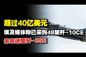 这就定了？埃及媒体称已采购48架歼-10CE，未来还要歼-35E