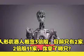人形机器人概念3倍股，目前只有2家，2倍股11家，你拿了哪只？