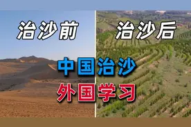 为什么中国人要花上千亿人民币治沙？