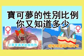 手動統計目前為止1017隻寶可夢的性別比例以及各世代之間的比例视频封面