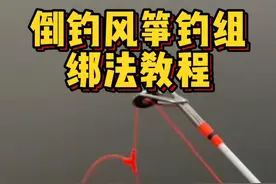 路亚必学钓组：倒钓及风筝钓组绑法 #钓鱼技巧  #路亚风筝钓组  #倒钓钓组  #钓鱼知识  #路亚教学视频 