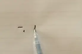 甘肃省，出美女的三个县，你知道吗？视频封面