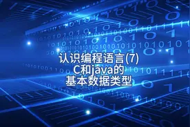 认识编程语言(7) C和Java的基本数据类型
