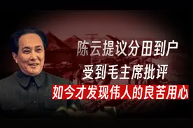 1962年，陈云提议分田到户遭毛主席批评，如今才发现伟人用心良苦视频封面
