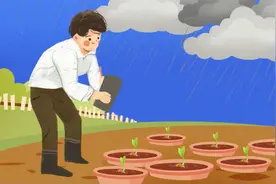 花椰菜的秘密视频封面