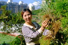 学校旁边挖了一块地，种了花生和辣椒，欣怡去看收获还不错视频封面