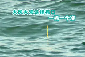 方法用对鱼获翻倍，大风大浪钓鱼时，学会这样看漂抓口才能钓好鱼视频封面
