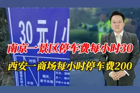 夸张！南京一景区停车费每小时30！西安一商场每小时停车费200视频封面