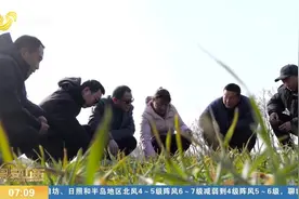 全省春耕生产陆续展开，各地抢抓农时多措并举，夯实全年丰收基础视频封面