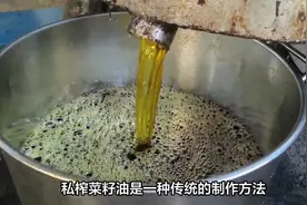 食品安全：专家建议禁止农村私榨菜籽油，预防不合格产品危害健康视频封面