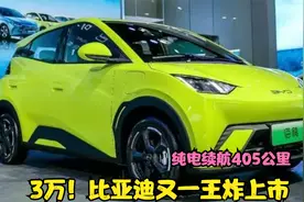 3万！比亚迪又一王炸上市，纯电续航350公里，家用买菜车不二之选视频封面