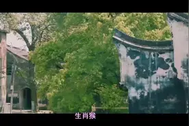 生肖猴合不来的三大生肖，难以融合，难以相处，矛盾和冲突不断！视频封面