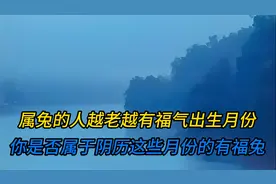 属兔的人越老越有福气出生月份：你是否属于阴历这些月份的有福兔视频封面