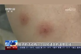 今夏蚊子变少了？北京市疾控中心回应