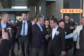 土耳其反对派领导人厄泽尔遇袭瞬间！保镖反应真快。视频封面