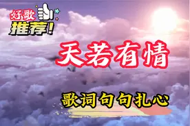 A-Lin 的《天若有情》 这首歌也太好听了吧，这才是真正的情歌！