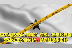 国家补贴流向了哪里？京东、淘宝均有自营店先涨价后打折