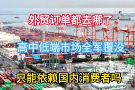 外贸订单都去哪了？高中低端市场覆没，只依赖国内消费者1视频封面
