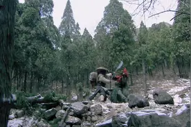 青面兽杨志的武功到底有多强，不用杨家枪都能和林冲不相上下视频封面