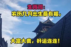 生肖鸡：农历几月出生最有福，大富大贵，好运连连！视频封面