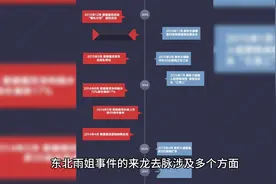 东北雨姐事件的来龙去脉
