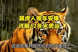 属虎人晚年安康，详解62年火虎运视频封面