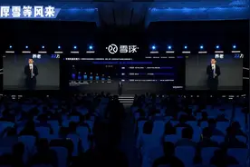 2024雪球嘉年华-中国平安的多重增长动力视频封面