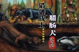 狗界的“霍比特人”|“短腿悍匪”腊肠犬的发家史视频封面