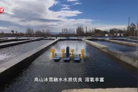 乌鲁木齐：玩转“风”“水”资源 绘就特色产业新图景视频封面